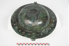 Foto von Bronzebreitrandschale (NHMW-PRAE-025600)